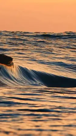 Goddess of the Sea 