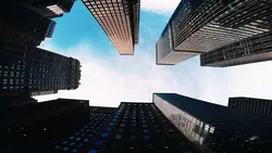 Life clips