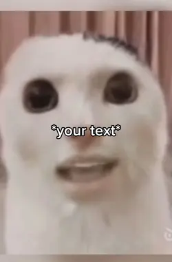 Singing cat