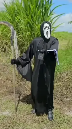amostradinho 