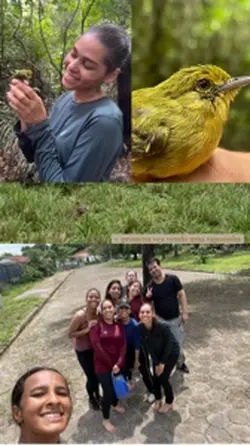 Dia de trilha diário