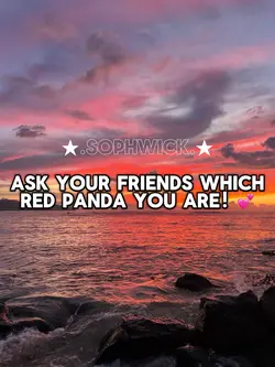 which red panda‼️