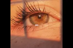 My eyes