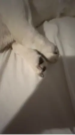 ❤️❤️