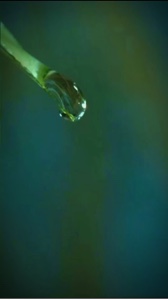 Water dripping 