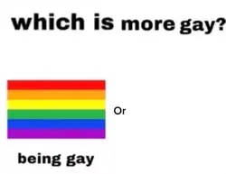 Which? 🤨