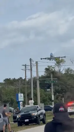 airone