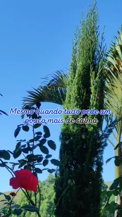 Motivação