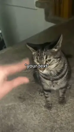 WA WA WA