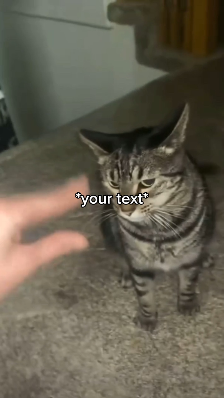 와와와 와