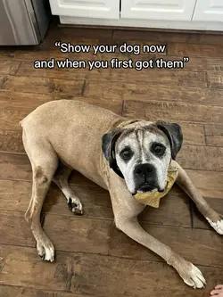 doggy 🐶
