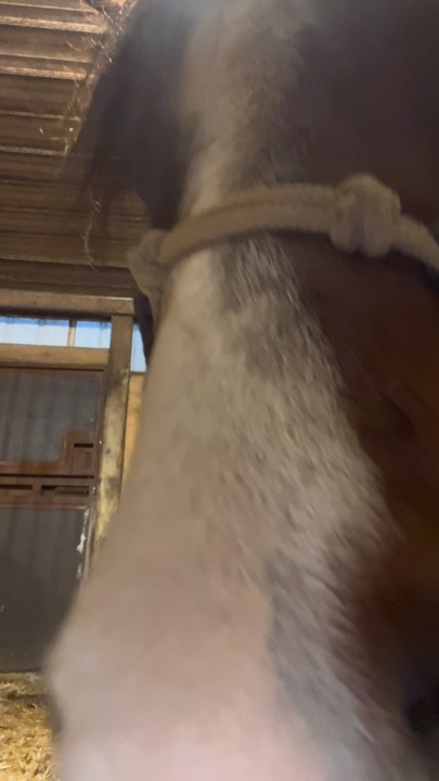 finally got to se