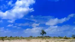 کہے تھرا یاد کن