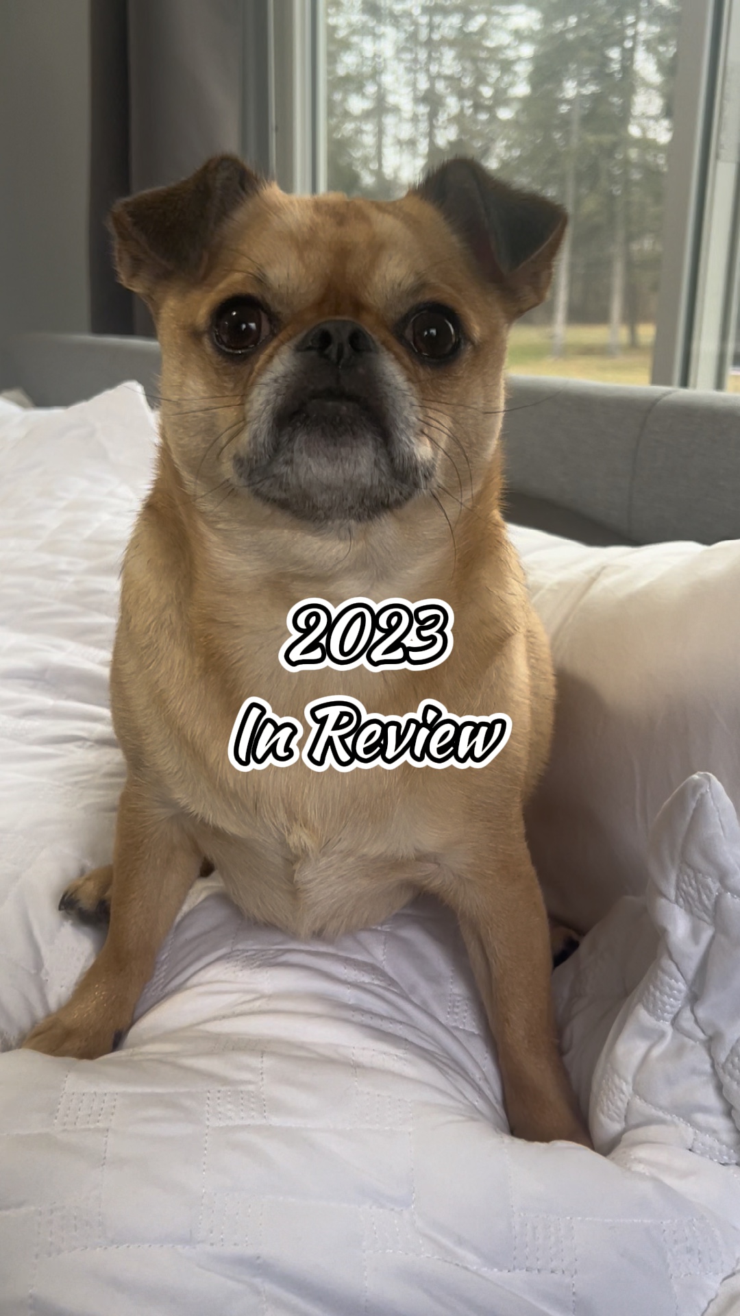 2023 Im Rückblick