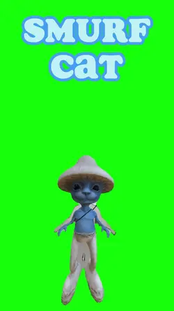 Smurf Cat