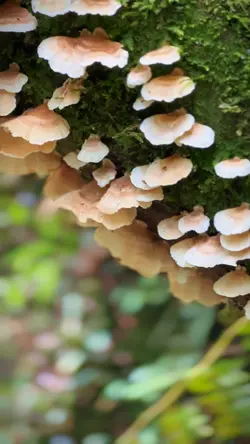 Respire ✈️🧘‍♀️