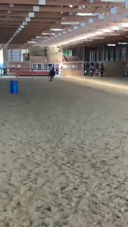 Barrelracing horse?!