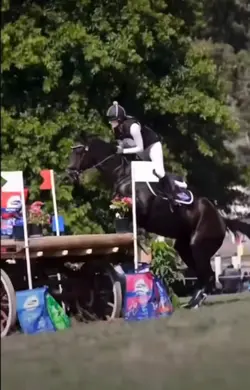 ‼️ not me ‼️