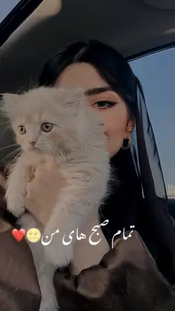 indian song 🎧 🎶 