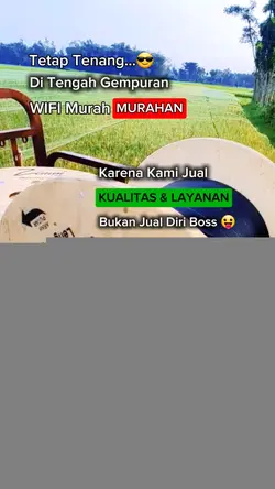 WIFI Murah