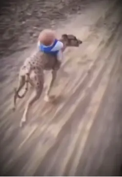 Running fast