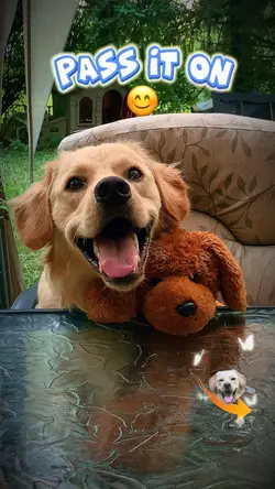 Smile, pass it on💙🩵