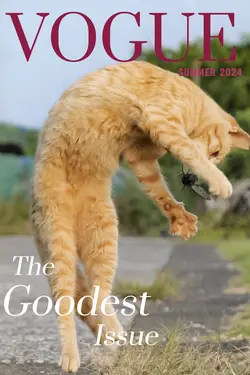 Vogue