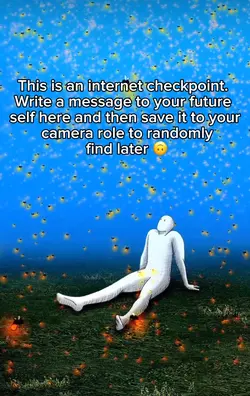 Internet checkpoint