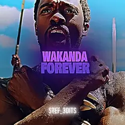 Wakanda Forever 