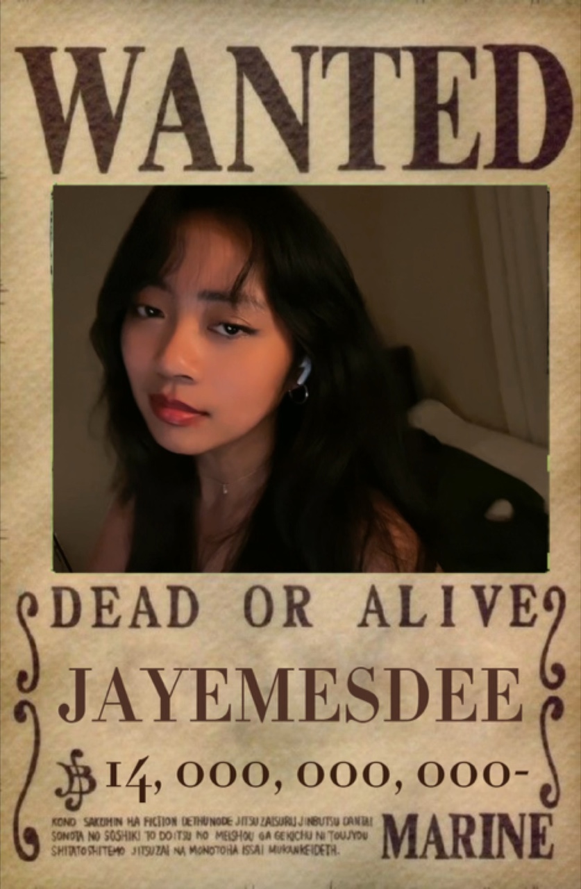 ONE PIECE WANTED 📜