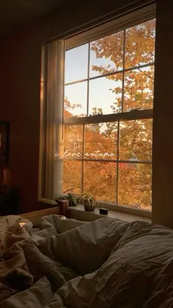 i love autumn 🍂 🧡