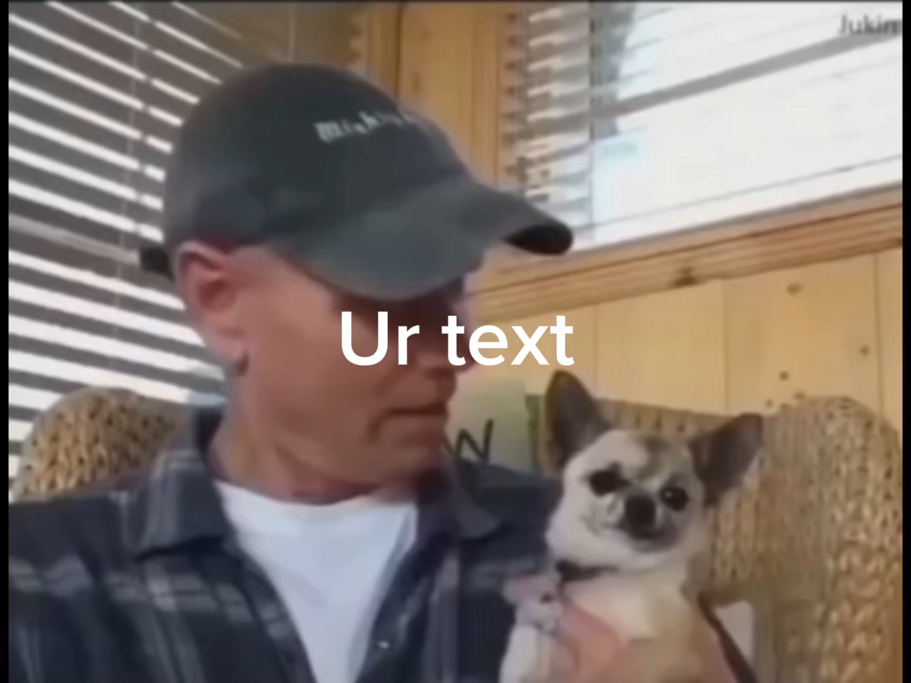 Acaricie seu cachorro