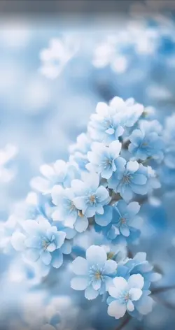 Some Snek wallpapers