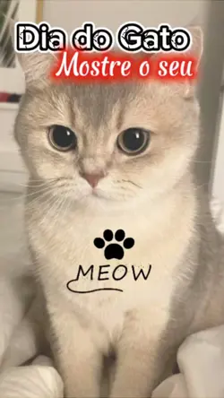 Dia do Gato 