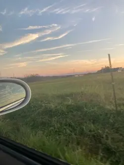 SHIMMER AND SHINE ⭐✨