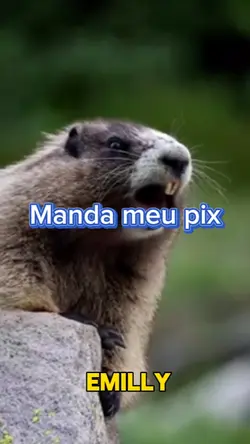 Manda um Pix
