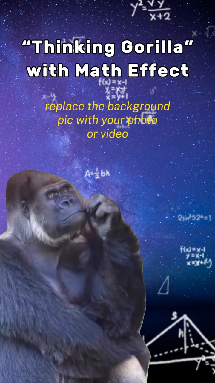 Thinking Gorilla mFX