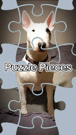 Puzzle Pieces 