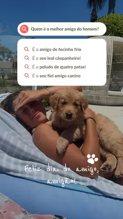 Pet amigo