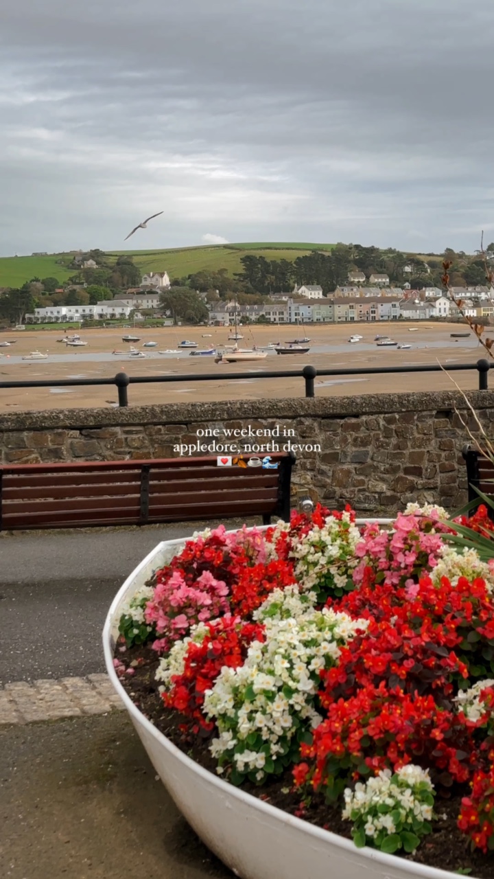 appledore, devon 🌊🤍