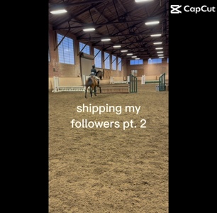 Ship of dip?