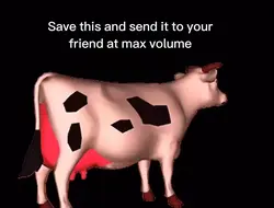 Cow meme 