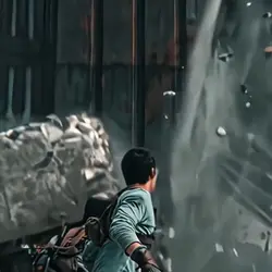 The Maze Runner