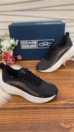 Modelo de transição 