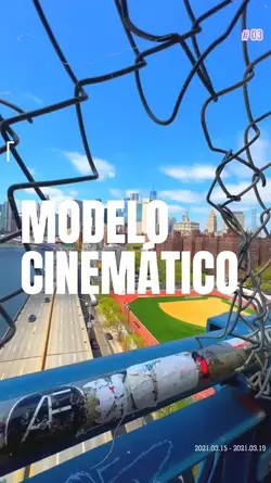 MODELO PROFISSIONAL 