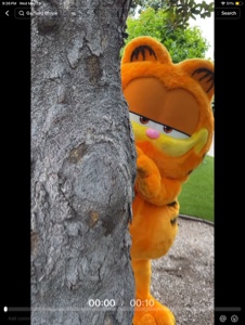 GARFIELD I GO MEO