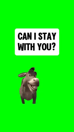 CAN I STAY WITH YOU