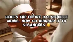 Full ratatouille 