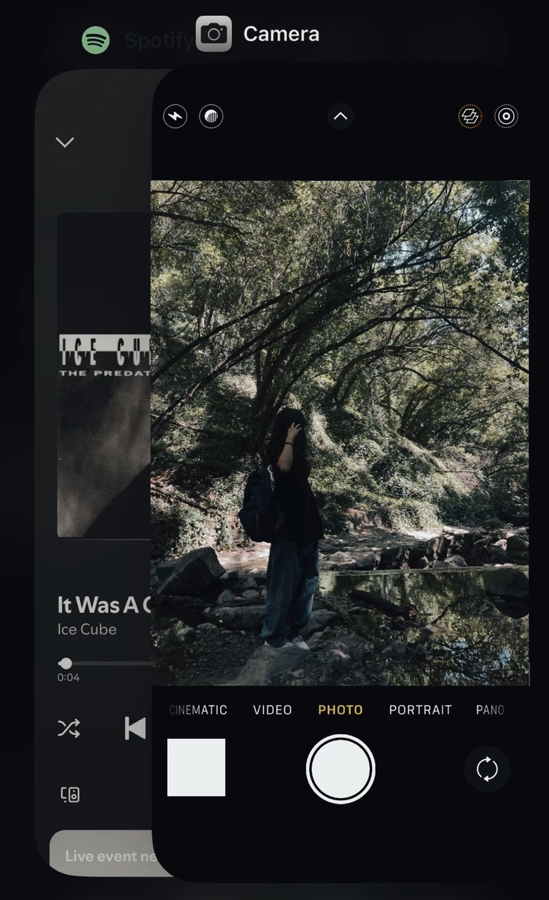 Cover Picture