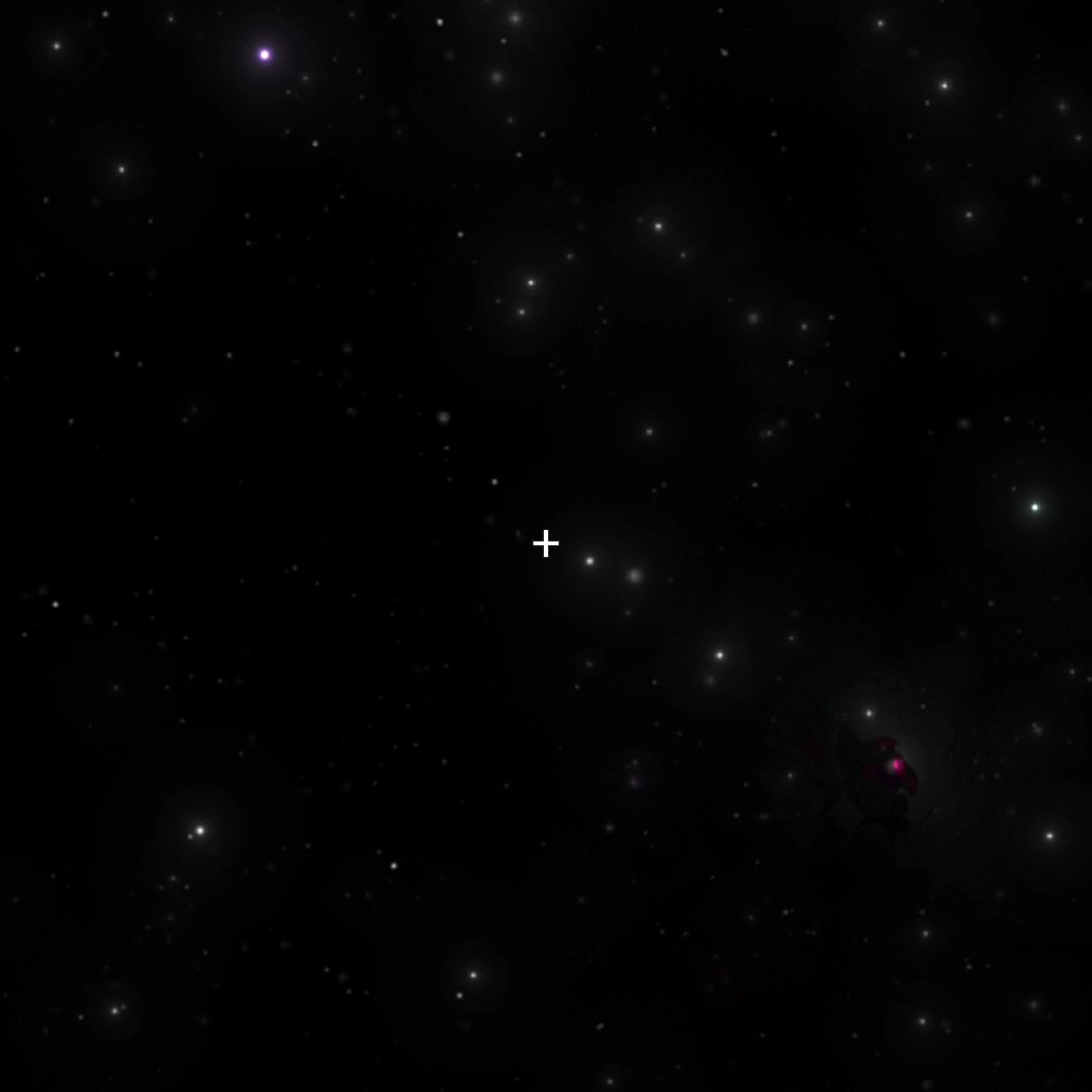 stare don't touch!